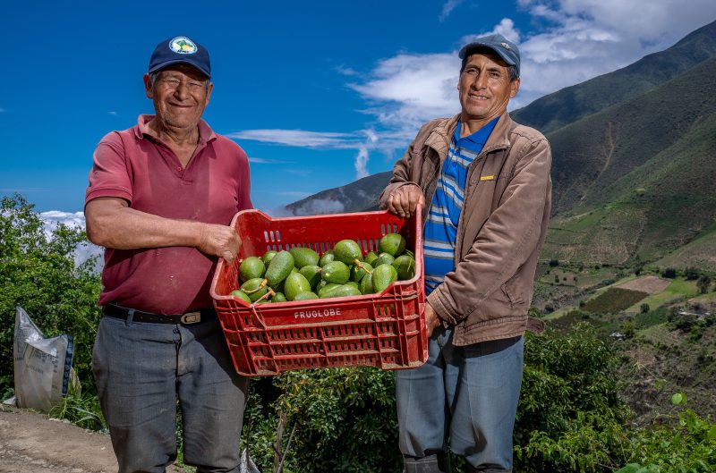 Gobierno logró 59 nuevos accesos de productos agropecuarios hacia 22 mercados internacional