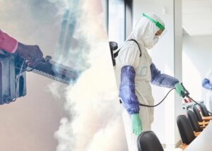 ¿Desinsectación o desinfección? Guía para elegir el proceso adecuado, según Gafumex, asociado CCL