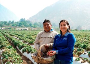 Créditos verdes en Perú: alternativa para impulsar negocios sostenibles y proteger el medio ambiente