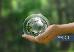 Herramientas digitales para proteger la capa de ozono desde casa, según Google