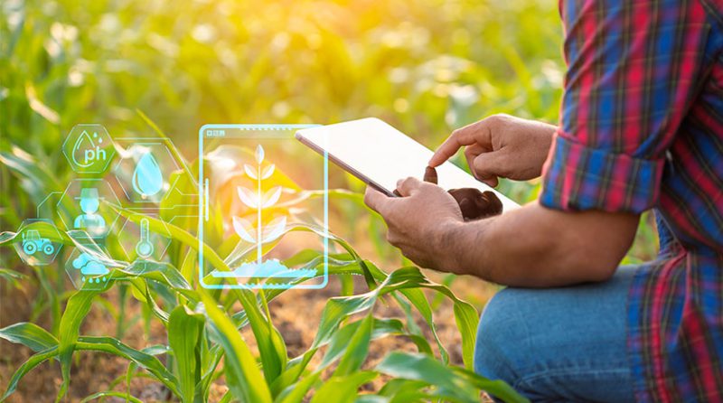 Nueva Ley Agraria: Beneficiarios y principales disposiciones tributarias y laborales