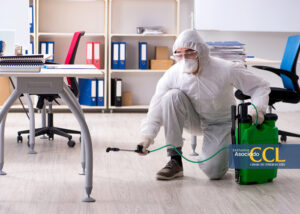 Control de plagas en empresas: cinco alertas que no debes ignorar, según Gafumex