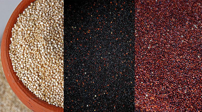 La gastronomía peruana y el boom exportador de insumos premium